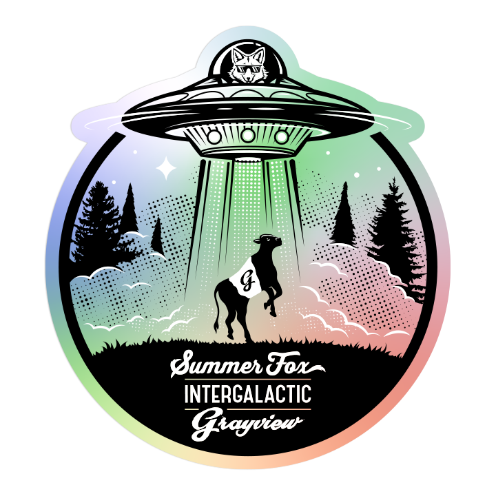 Holographic sticker